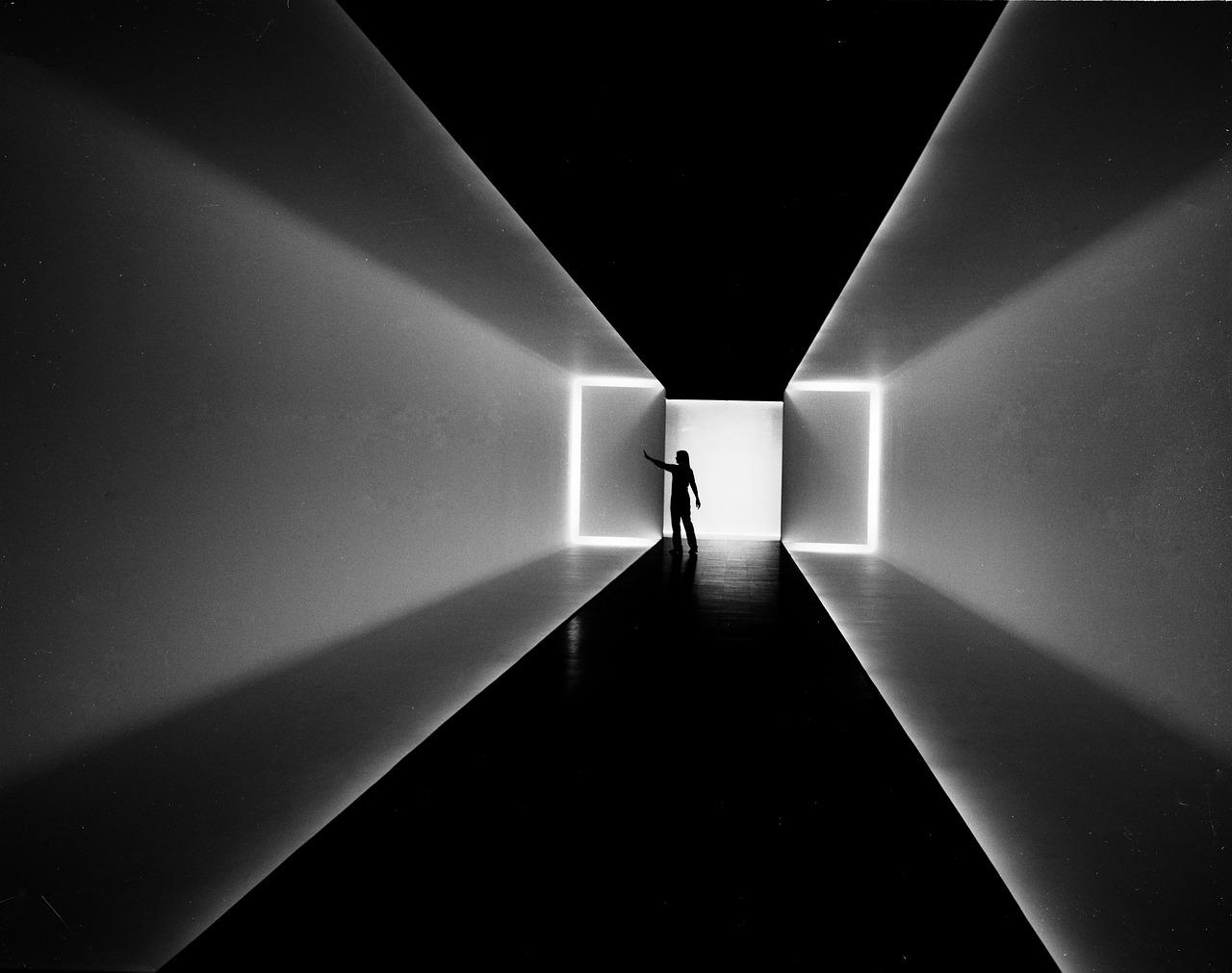Museum of Fine Arts, Houston