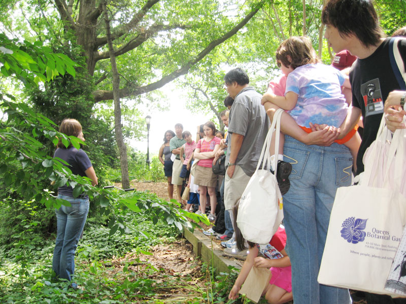 Queens Botanical Garden