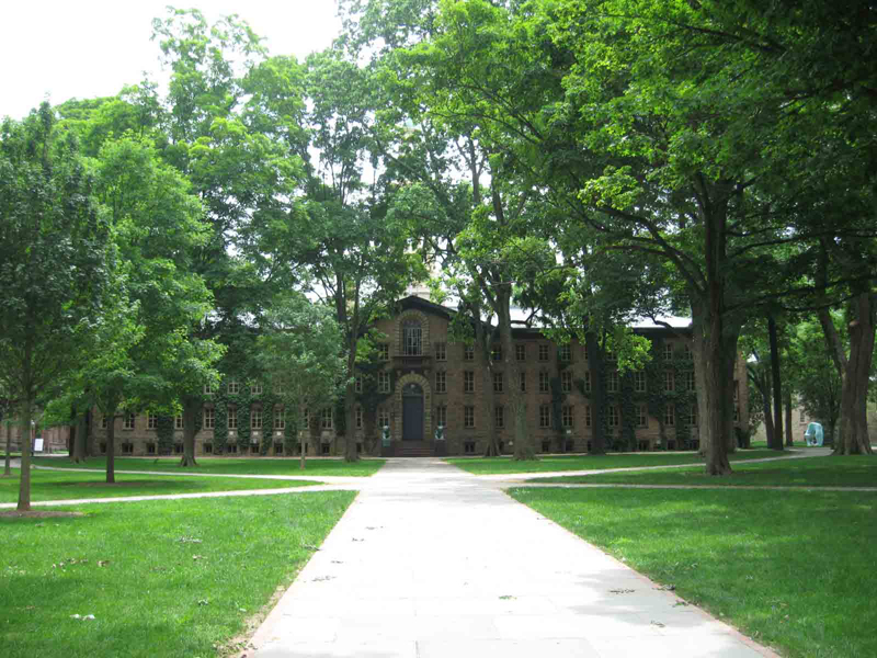 Princeton University