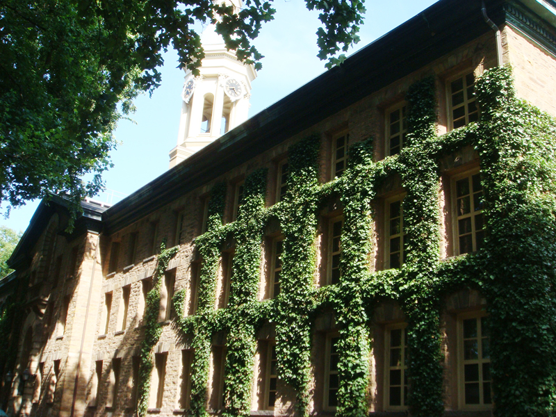 Princeton University