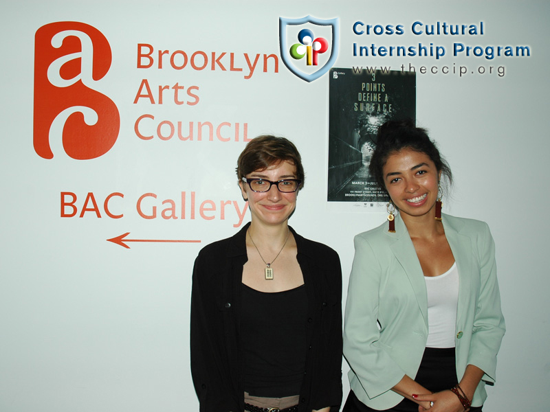 Brooklyn Arts Council 