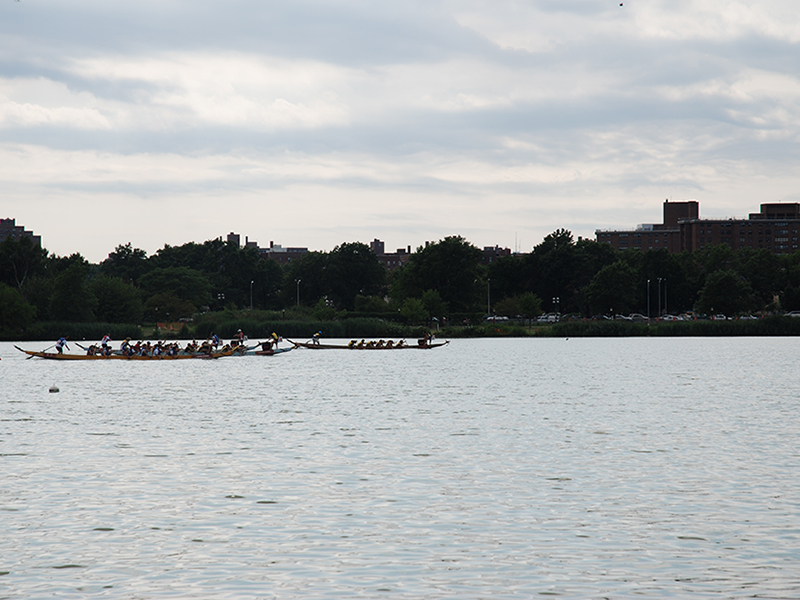 The Hong Kong Dragon Boat Festival in NY