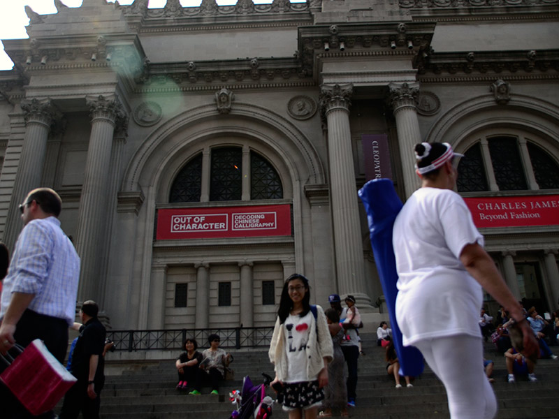 The American Museum of Natural History