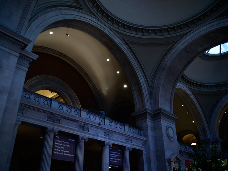 The American Museum of Natural History