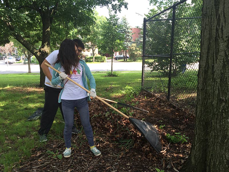 Volunteering at Cunningham Park (Session A)