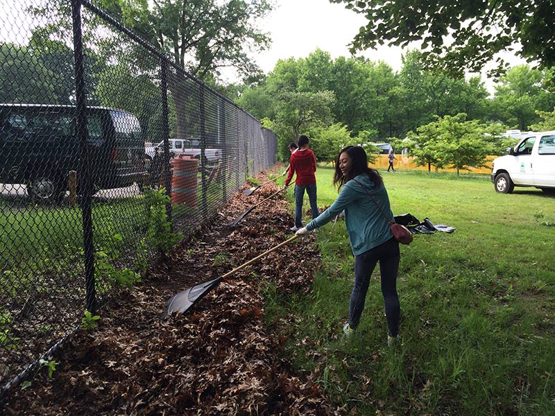 Volunteering at Cunningham Park (Session A)