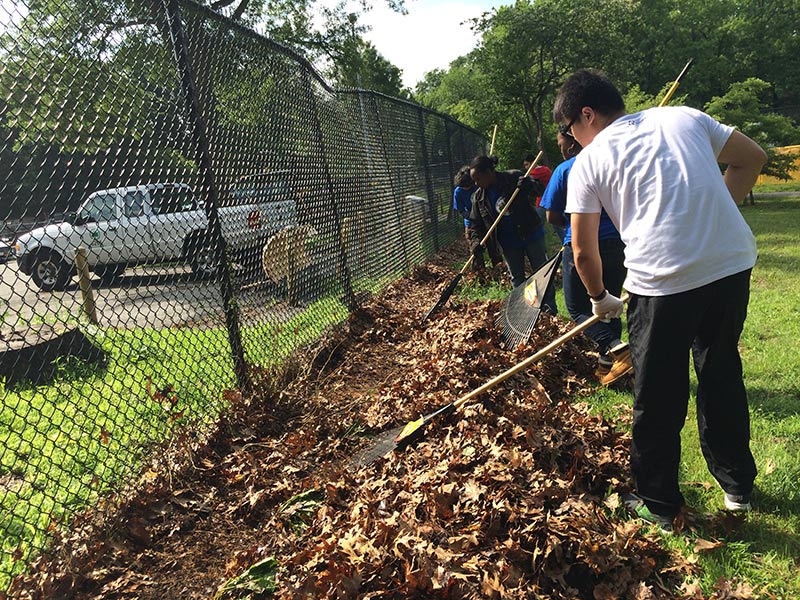 Volunteering at Cunningham Park (Session A)