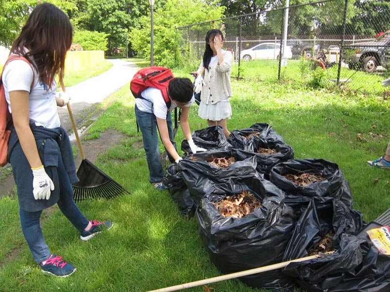 Volunteering at Cunningham Park (Session A)