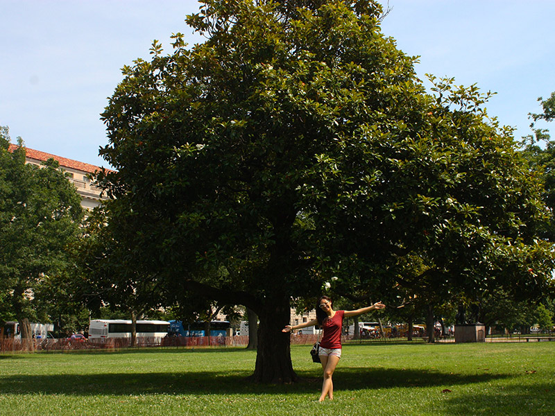 Washington DC