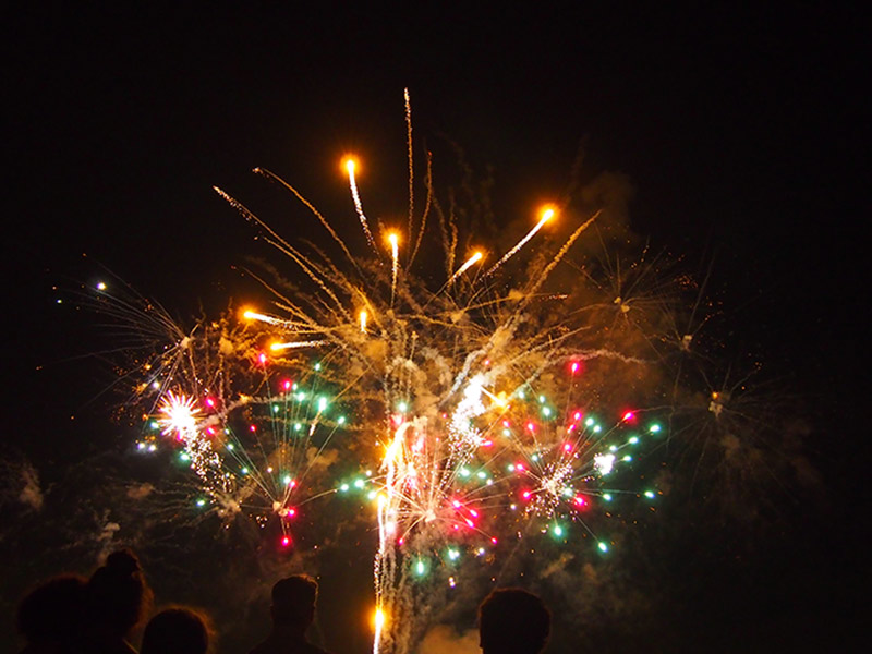 Concert and fireworks at Cunningham Park