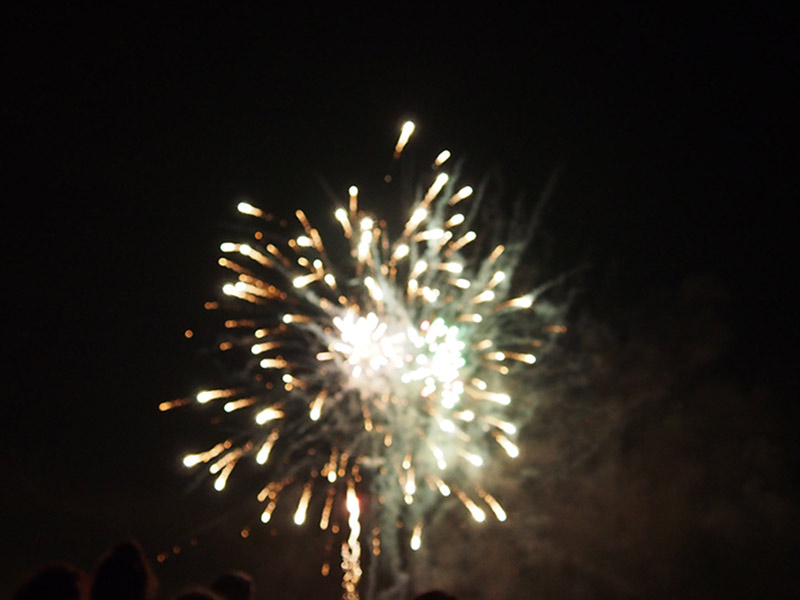 Concert and fireworks at Cunningham Park