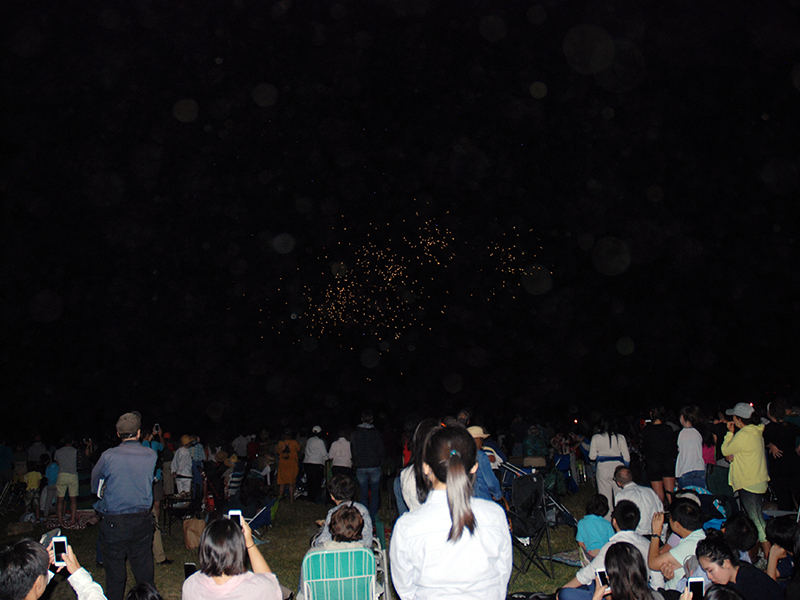 Concert and fireworks at Cunningham Park