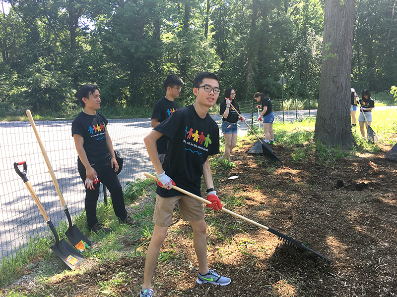 Volunteering at Cunningham Park (Session B)