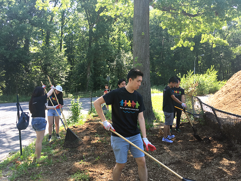 Volunteering at Cunningham Park (Session B)