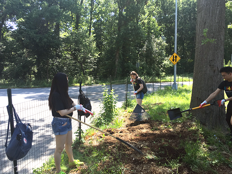 Volunteering at Cunningham Park (Session B)