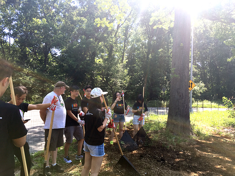 Volunteering at Cunningham Park (Session B)