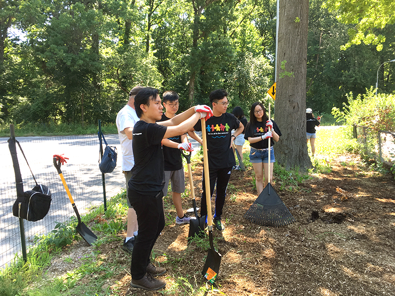 Volunteering at Cunningham Park (Session B)