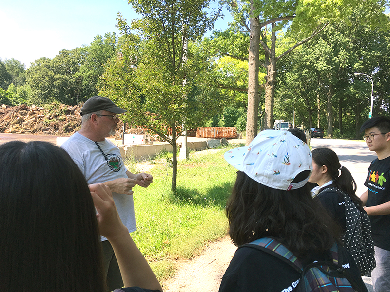 Volunteering at Cunningham Park (Session B)