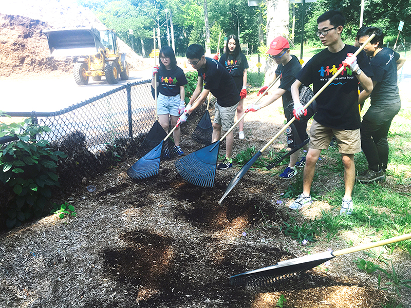 Volunteering at Cunningham Park (Session B)