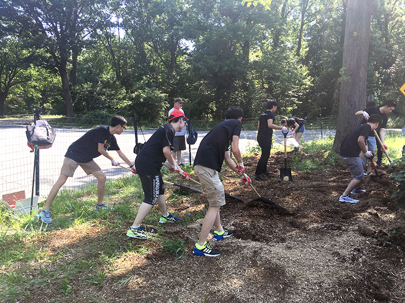 Volunteering at Cunningham Park (Session B)