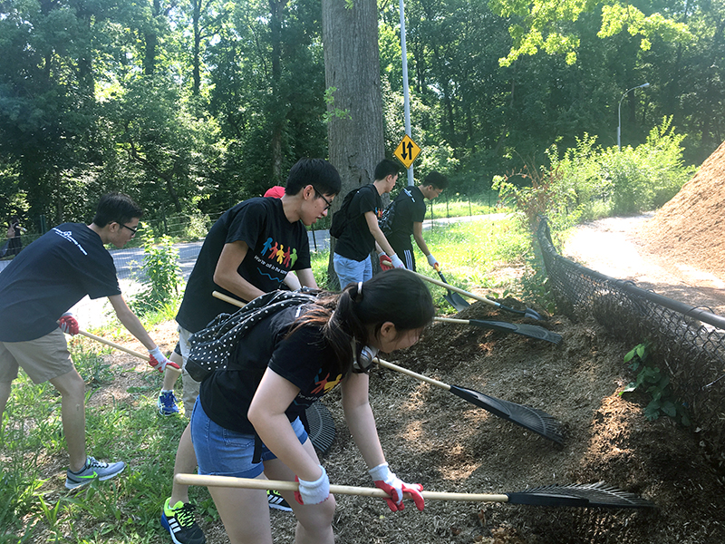 Volunteering at Cunningham Park (Session B)