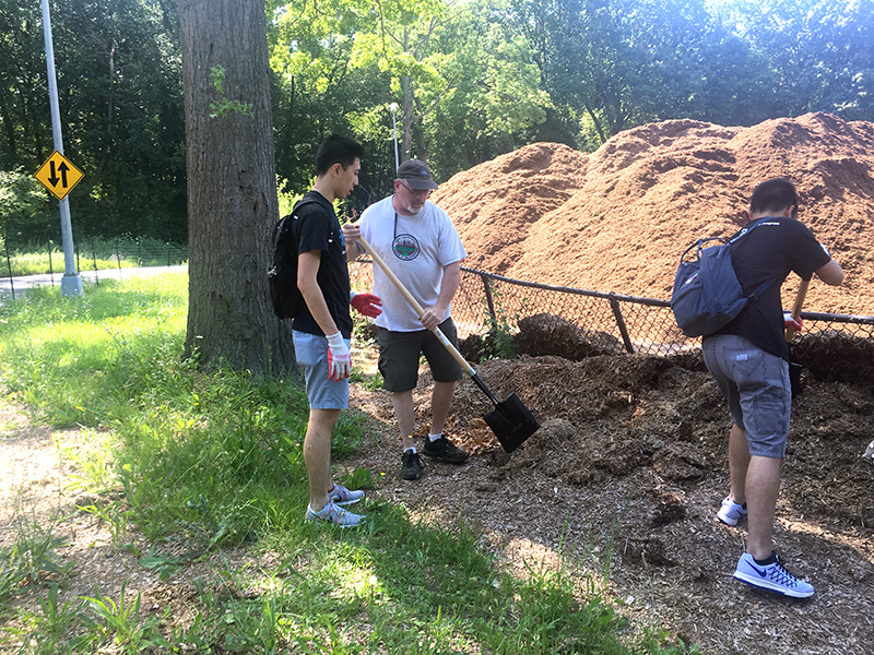 Volunteering at Cunningham Park (Session B)