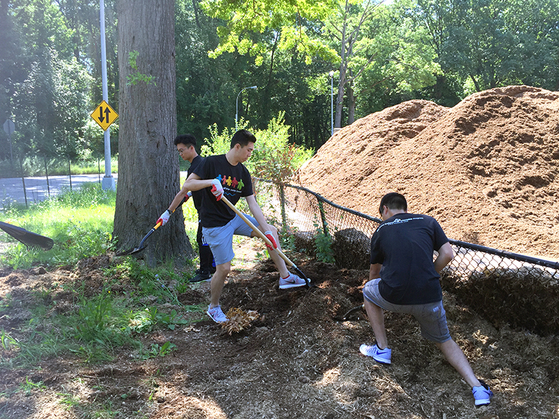 Volunteering at Cunningham Park (Session B)