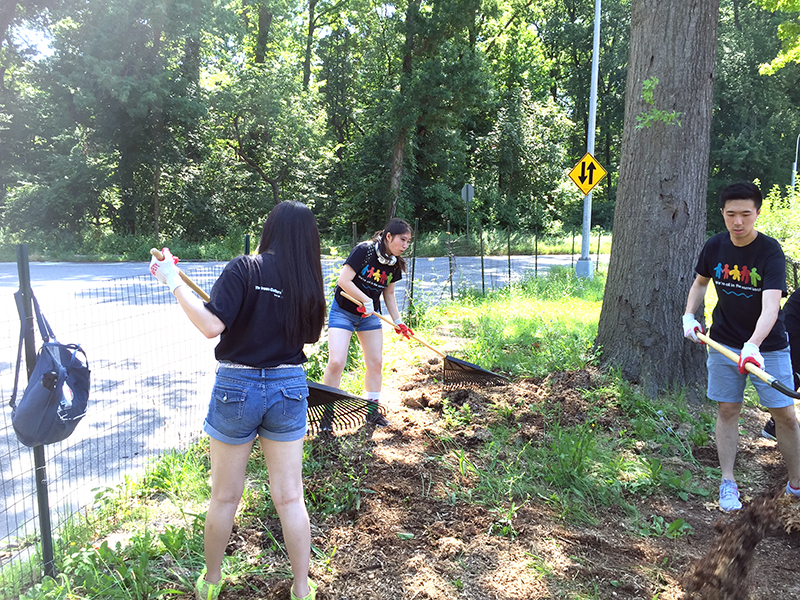 Volunteering at Cunningham Park (Session B)