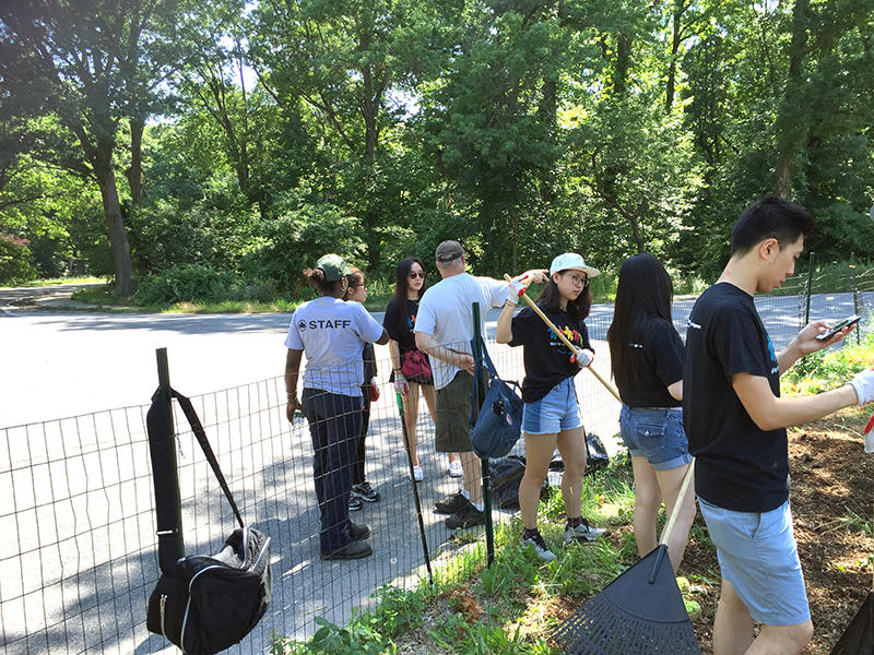 Volunteering at Cunningham Park (Session B)