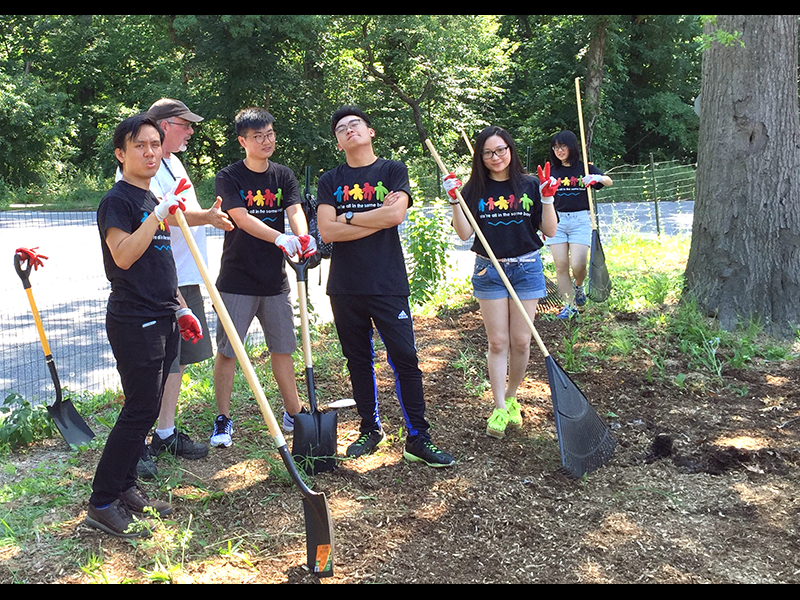 Volunteering at Cunningham Park (Session B)