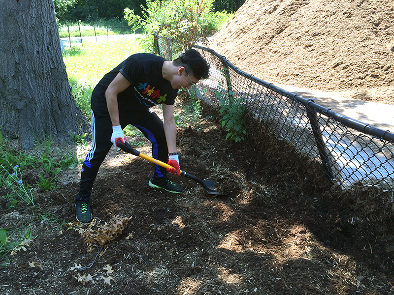 Volunteering at Cunningham Park (Session B)