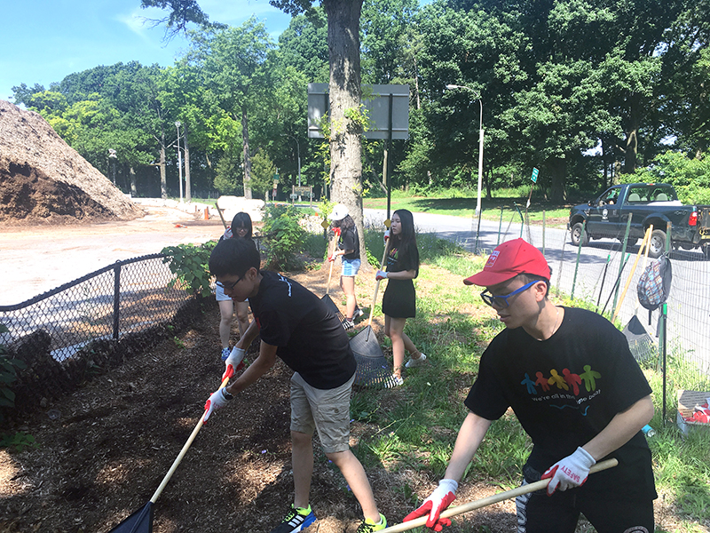 Volunteering at Cunningham Park (Session B)