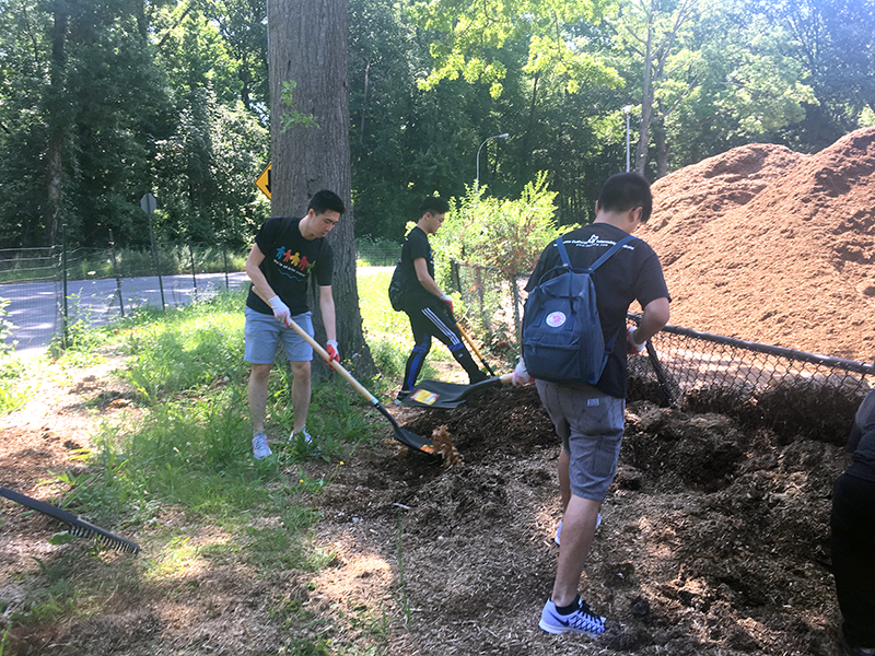 Volunteering at Cunningham Park (Session B)