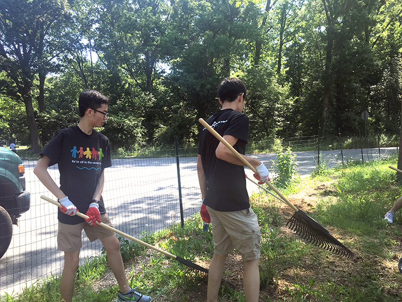 Volunteering at Cunningham Park (Session B)