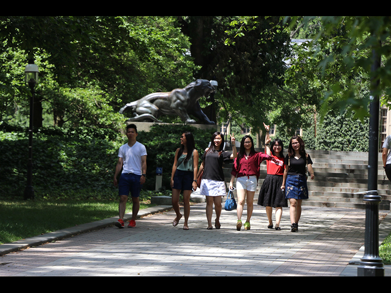 Princeton University