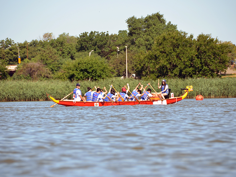 The Hong Kong Dragon Boat Festival in NY