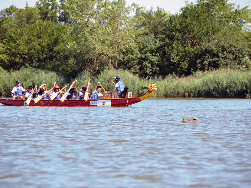 The Hong Kong Dragon Boat Festival in NY