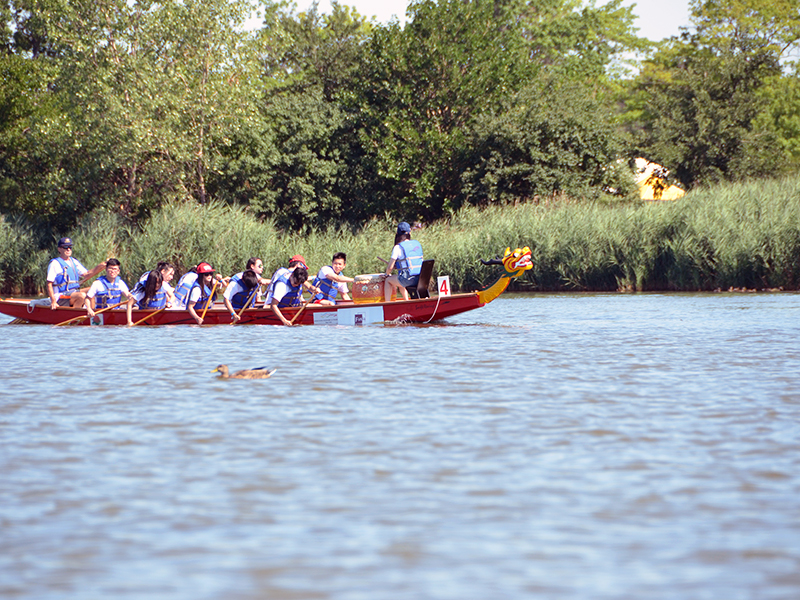 The Hong Kong Dragon Boat Festival in NY