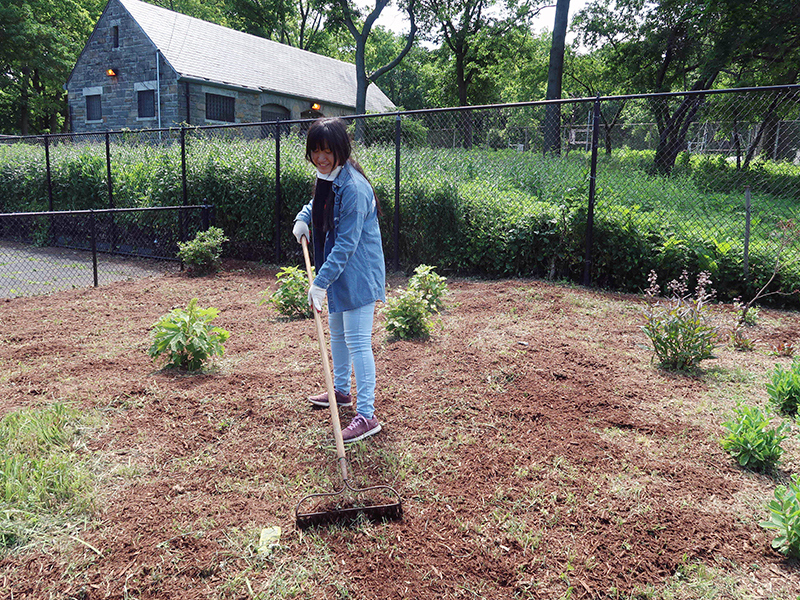 Volunteering at Cunningham Park (Session A)