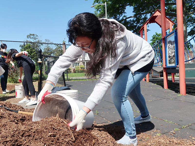 Volunteering at Cunningham Park (Session A)