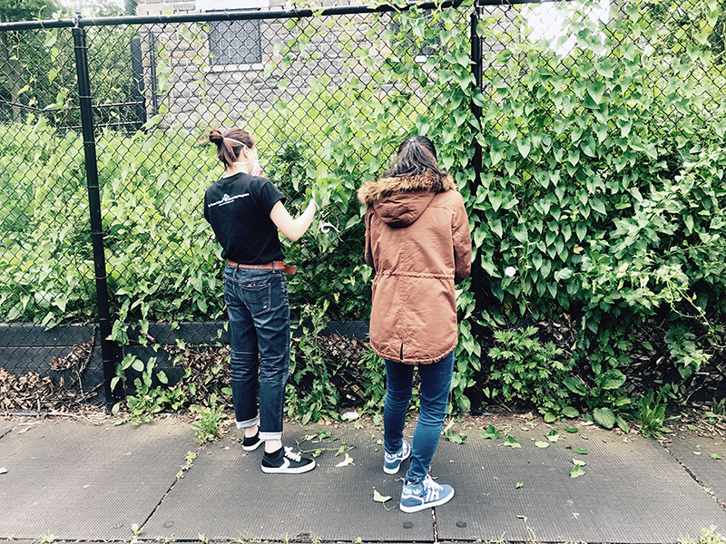 Volunteering at Cunningham Park (Session A)