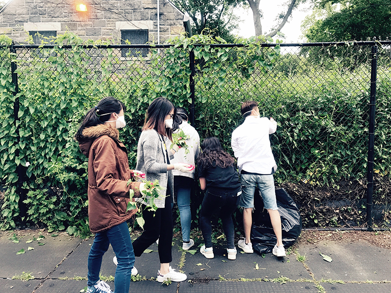 Volunteering at Cunningham Park (Session A)