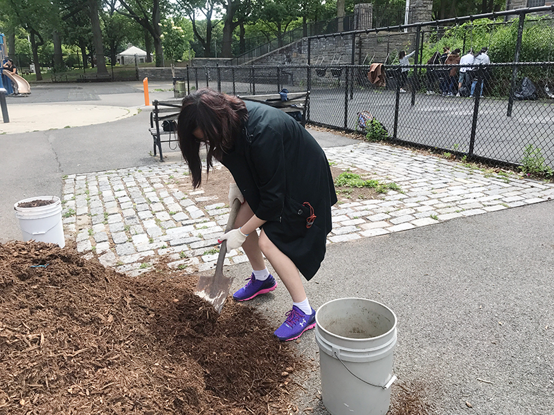 Volunteering at Cunningham Park (Session A)