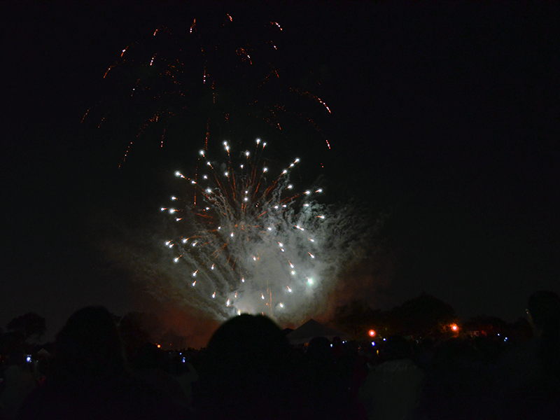 Concert and fireworks at Cunningham Park