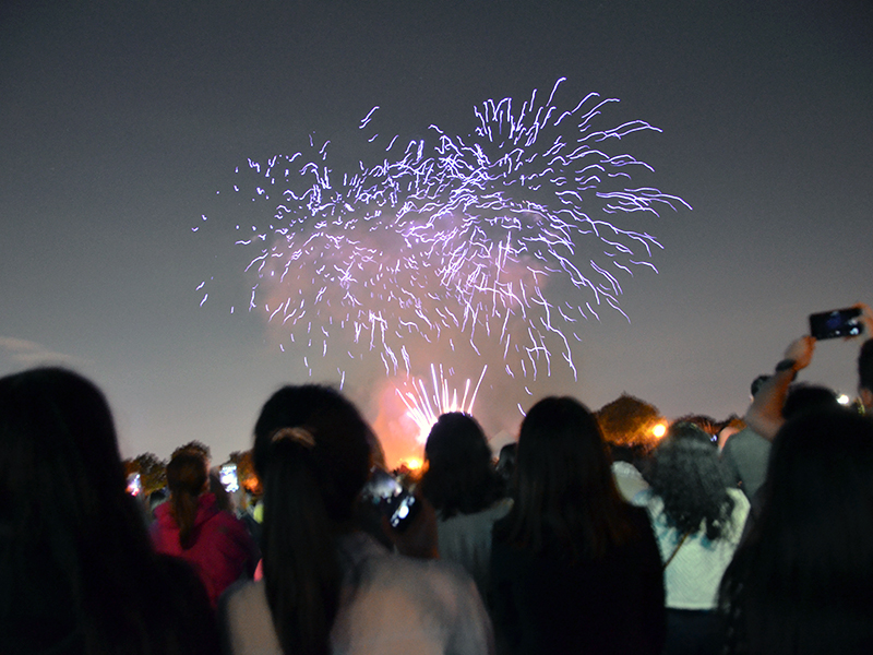 Concert and fireworks at Cunningham Park