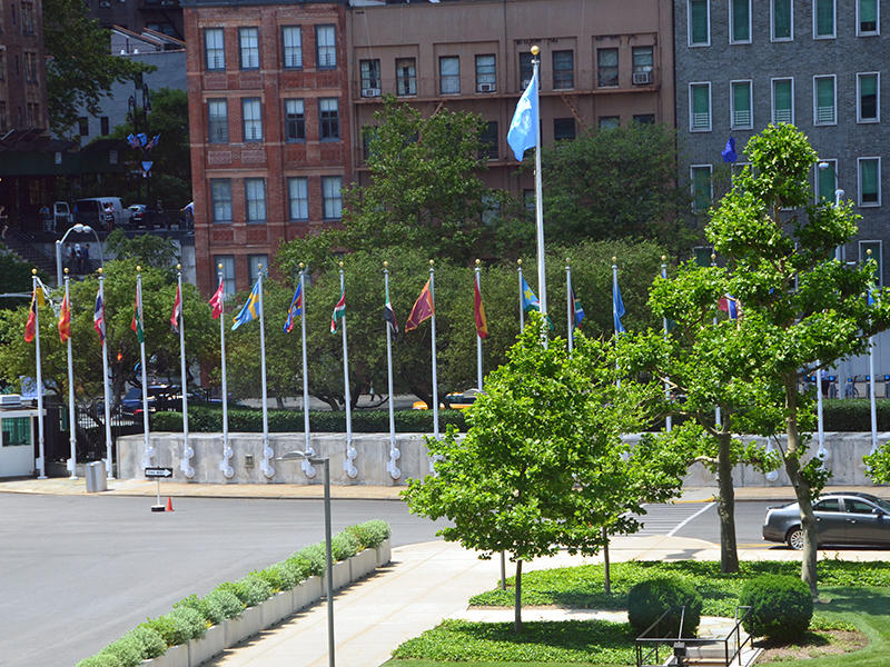 The United Nations and HKETO-NY