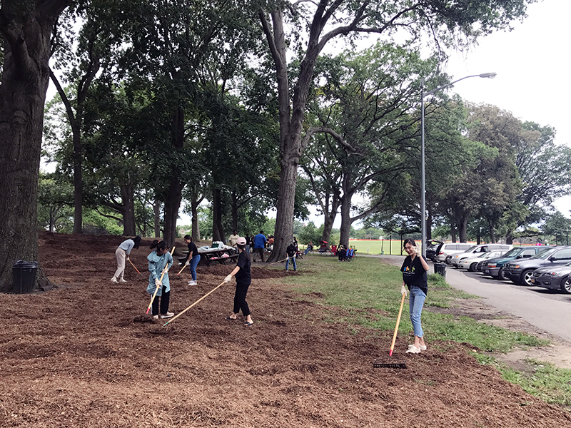 Volunteering at Cunningham Park (Session B)