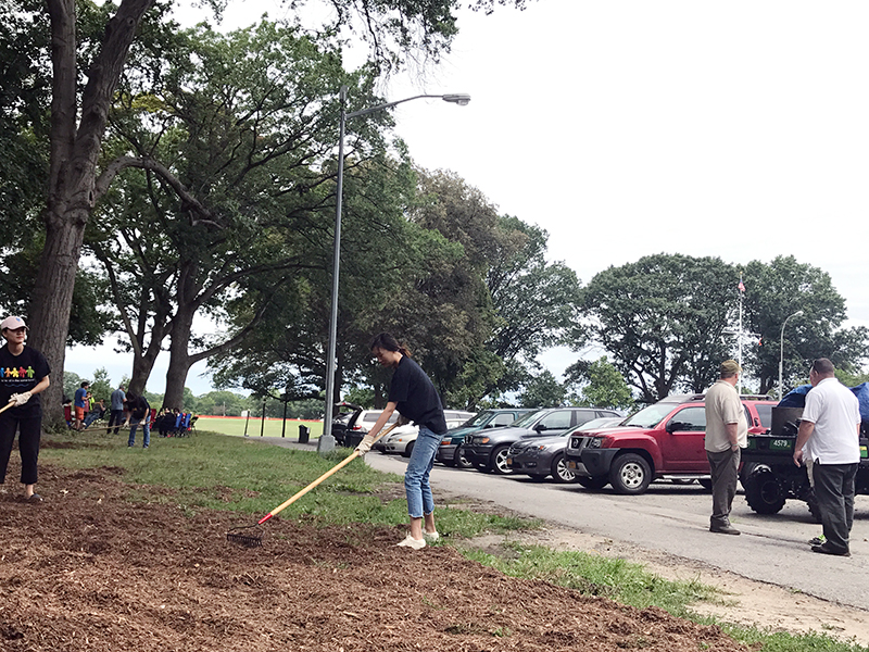 Volunteering at Cunningham Park (Session B)