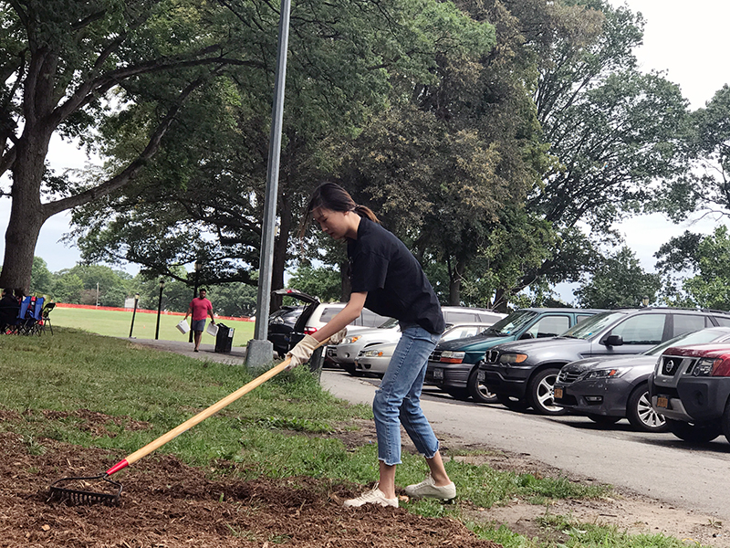 Volunteering at Cunningham Park (Session B)