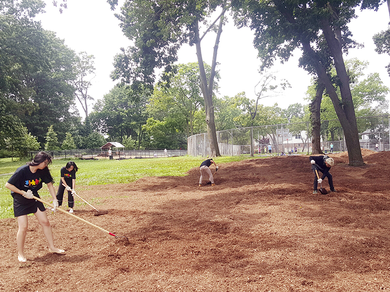 Volunteering at Cunningham Park (Session B)